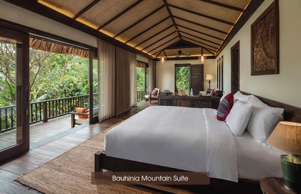 Bauhinia Mountain Suite
